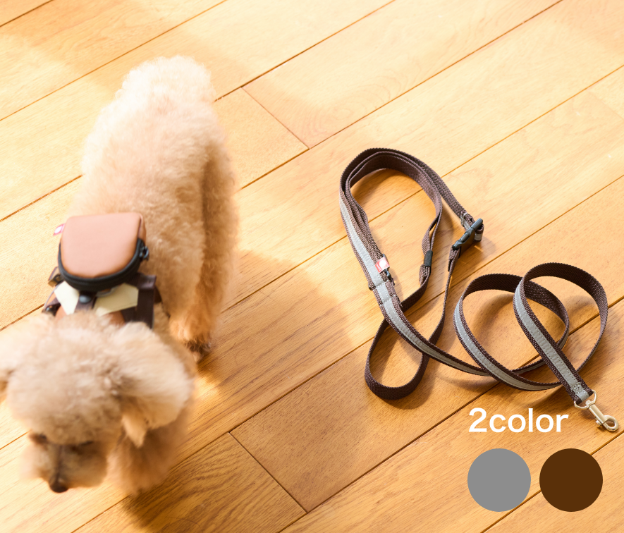 2wayリード　PET-007 1